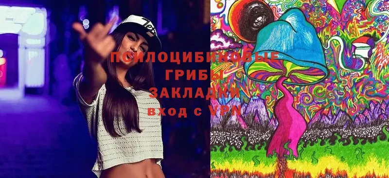 Псилоцибиновые грибы Magic Shrooms  МЕГА рабочий сайт  Бакал 